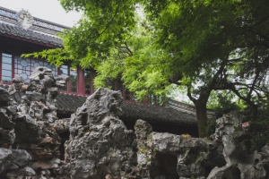 流年犯太岁会让你职场不顺 事业受阻