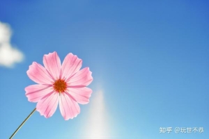 有什么方法可以招桃花？