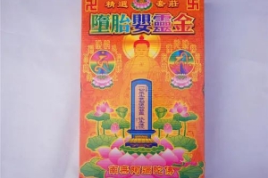 念超度堕胎咒语能让婴灵尽快离开,你好，请问咒