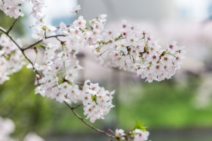 分手复合法术,轻松就能挽回前任恢复往日甜蜜